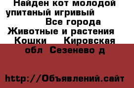 Найден кот,молодой упитаный игривый 12.03.2017 - Все города Животные и растения » Кошки   . Кировская обл.,Сезенево д.